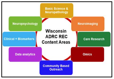 Graphic showing content areas for the Wisconsin ADRC REC Scholar Program