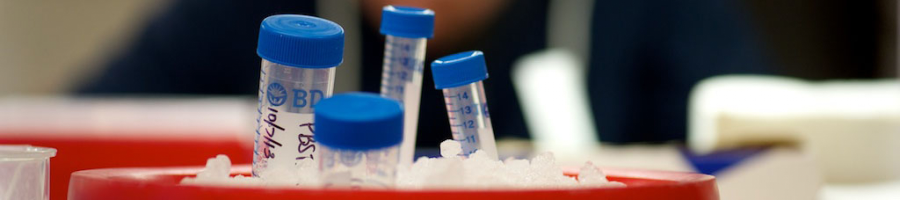 image of test tubs with blue caps sitting in a red bucket of ice