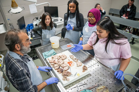 female student asking questions about a brain autopsy