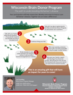 descriptive image of a path with information about the brain donation process