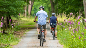 Two people bike down a path in a forest park, facing away from the camera
