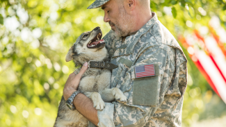 Stock photo of a man in military clothes holding a young dog