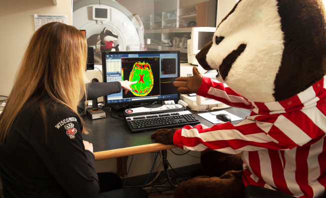 bucky badger viewing brain image on computer screen