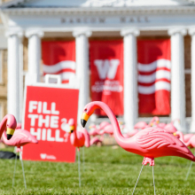 pink flamingos on bascom hill