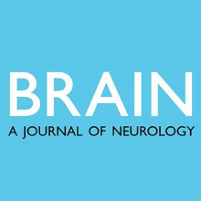 logo for Brain: A Journal of Neurology