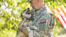 Stock photo of a man in military clothes holding a young dog